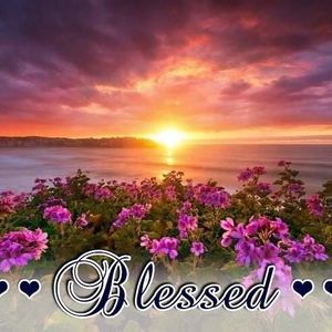 Meet your Posher, Valerie